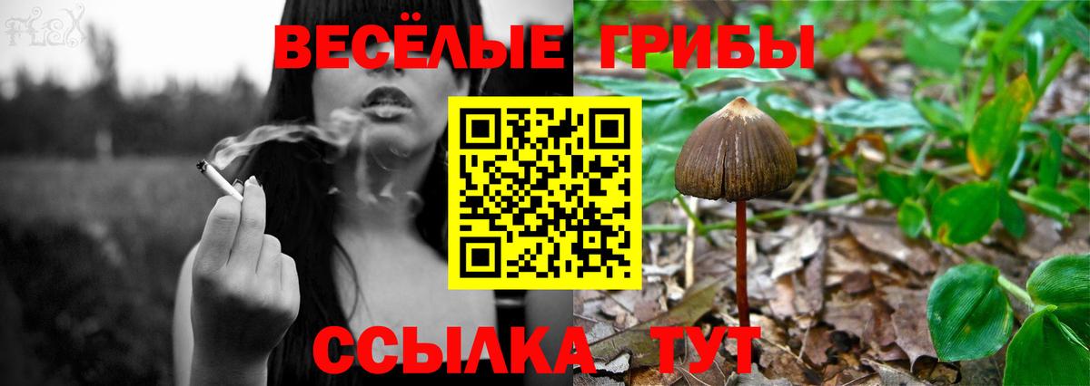 Псилоцибиновые грибы MAGIC MUSHROOMS  Псилоцибиновые грибы мухоморы  Вход с VPN  купить наркотик  Вышний Волочёк 