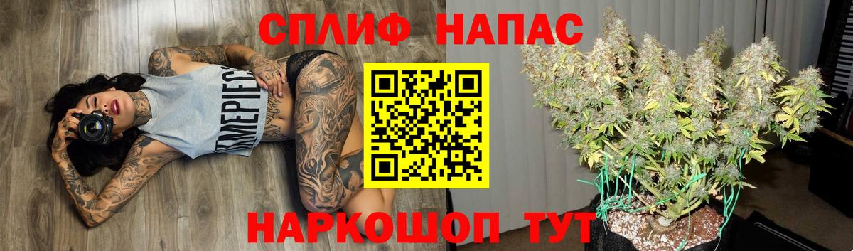 Шишки марихуана AK-47  Вход с VPN  МАРИХУАНА Amnesia  Вышний Волочёк  Марихуана план 